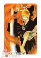 Bleach 0668